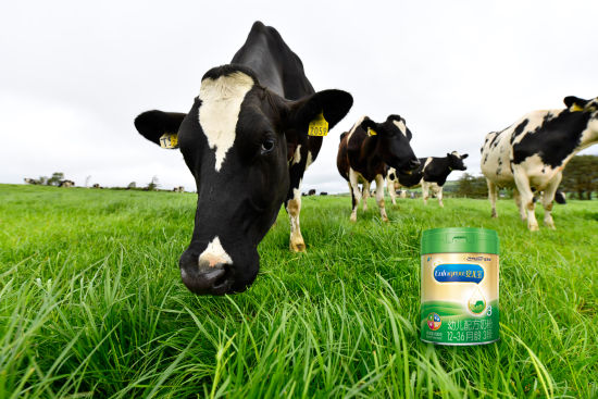 一颗鲜草掀起了乳品消费新潮流：珍贵草饲牛奶受热捧