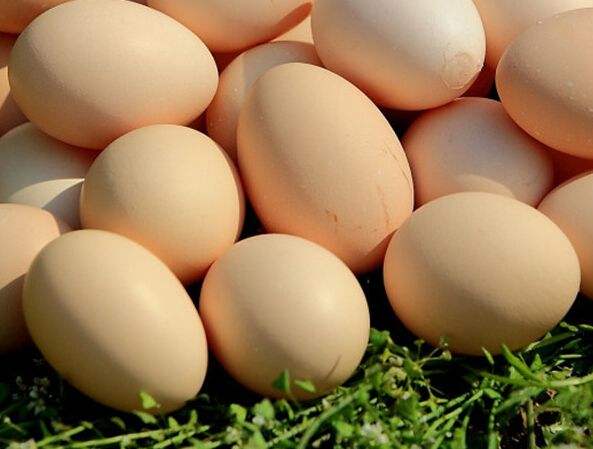 农业大数据|产区蛋价调整频率快、幅度大 目前全国产区鸡蛋价差较大