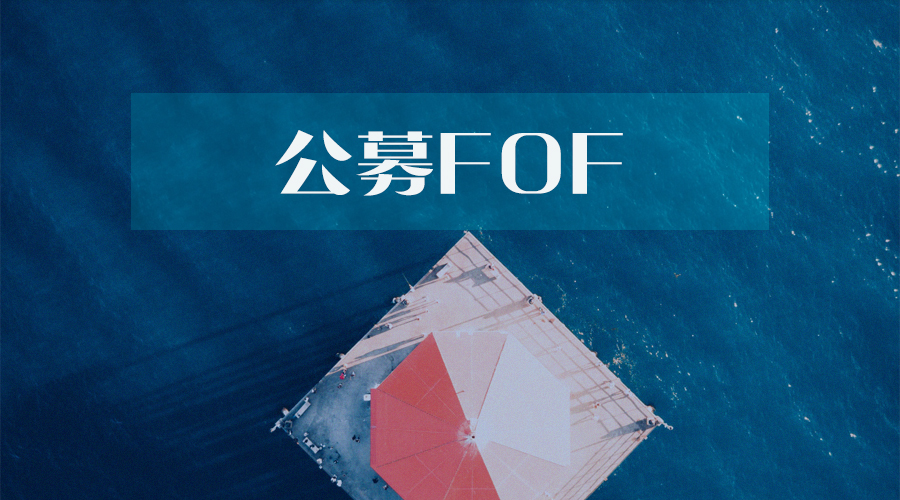 基会 | 首批公募FOF成立以来收益超28% 南方基金发行新混基吴剑毅任基金经理