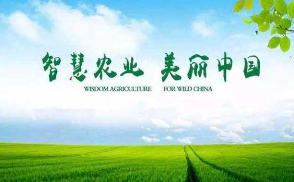 智慧农业助力乡村振兴 加速推进中国农业现代化